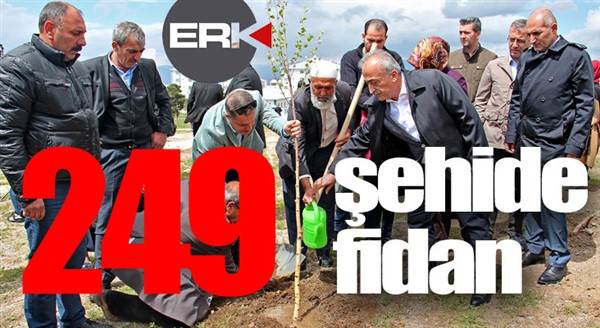 249 şehide 249 fidan