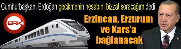 Cumhurbaşkanı Erdoğan: "Gecikmenin hesabını bizzat soracağım"