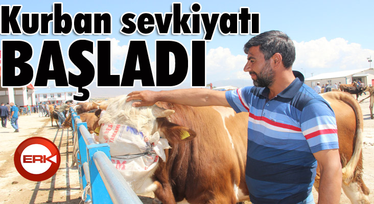 Erzurum’dan batıya kurban sevkiyatı başladı
