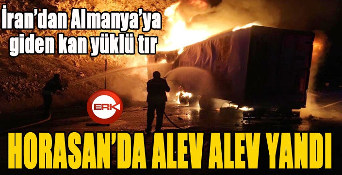 İran’dan Almanya’ya giden kan yüklü tır alev alev yandı