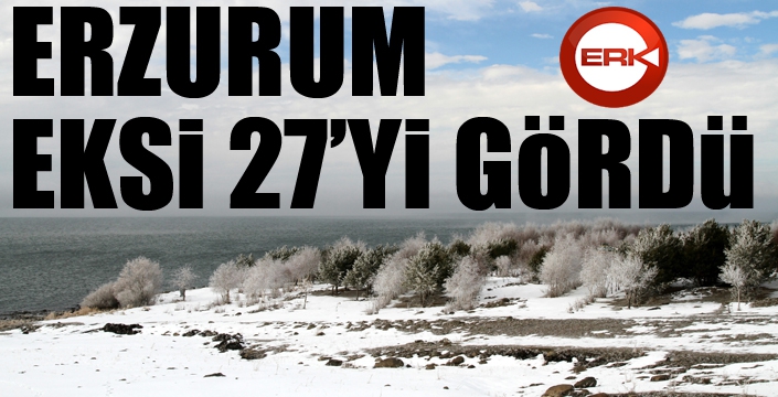 Doğu Anadolu buz kesti