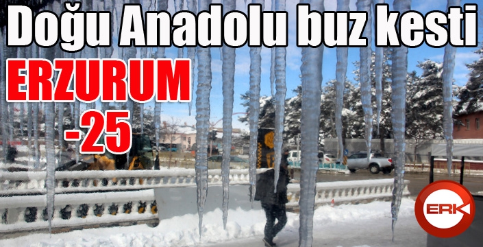 Doğu Anadolu buz kesti: Erzurum eksi 25