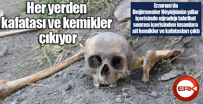 Korkutan görüntü: Her yerden kafatası ve kemikler çıkıyor
