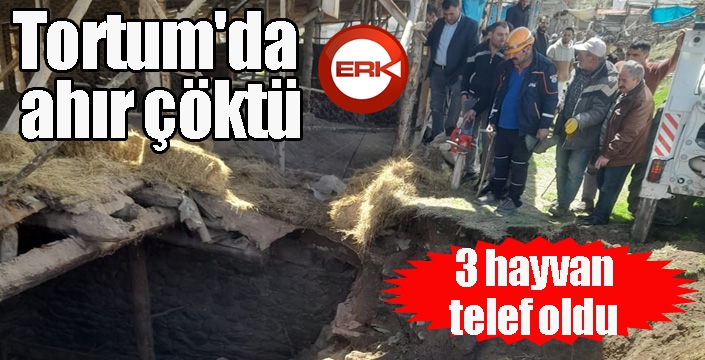 Tortum'da ahır çöktü