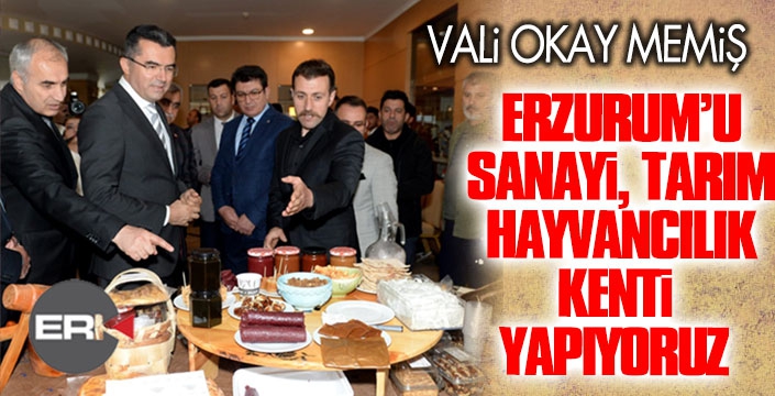 Vali Memiş: Devletin 1 lirasını bile değerlendiriyoruz