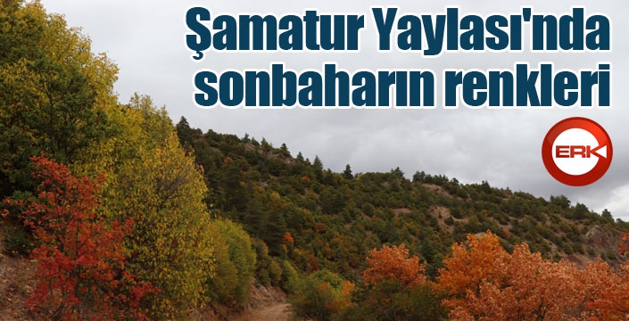 Şamatur Yaylası'nda sonbaharın renkleri