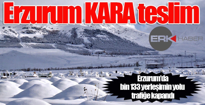 Erzurum’da bin 133 yerleşimin yolu trafiğe kapandı