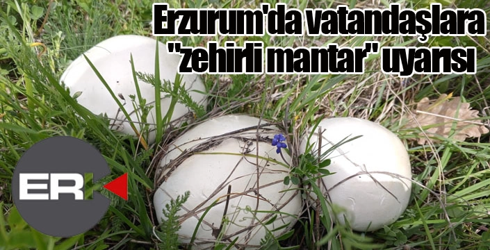 Erzurum'da vatandaşlara "zehirli mantar" uyarısı