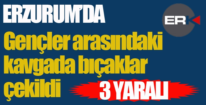 Erzurum'da kavgada bıçaklar çekildi: 3 yaralı...