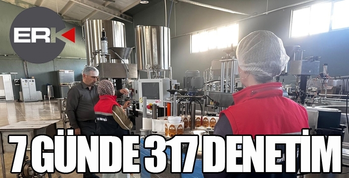 7 günde 317 denetim...