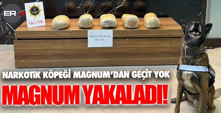 MAGNUM'dan kaçıramadılar!