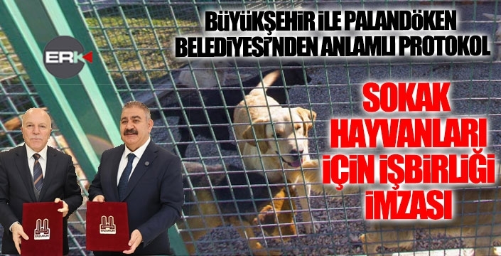 Sokak hayvanları için Sekmen ve Sunar protokol imzaladı...