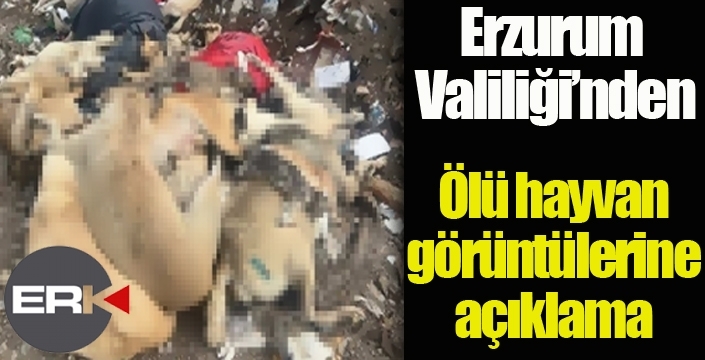 Erzurum Valiliği’nden ölü hayvan görüntülerine açıklama