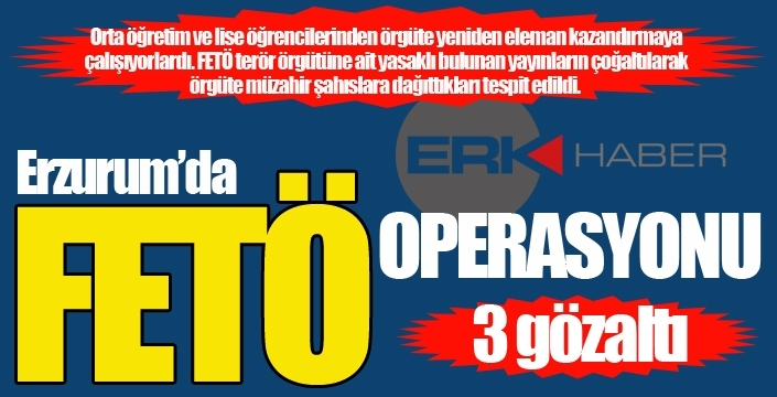 Erzurum'da FETÖ'cülere eş zamanlı operasyon...