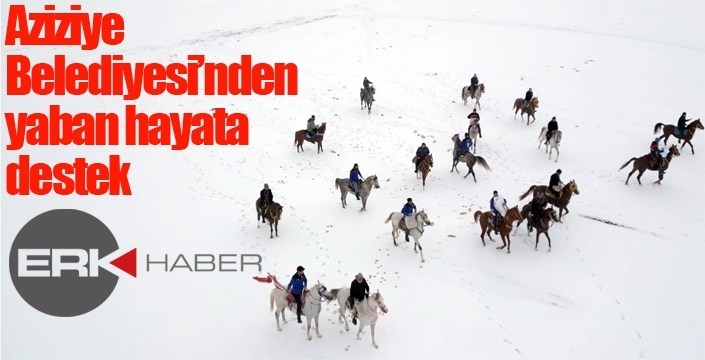 Aziziye Belediyesi’nden yaban hayata destek