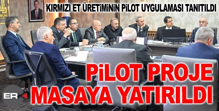 Erzurum’da kırmızı et üretimi için pilot proje masaya yatırıldı