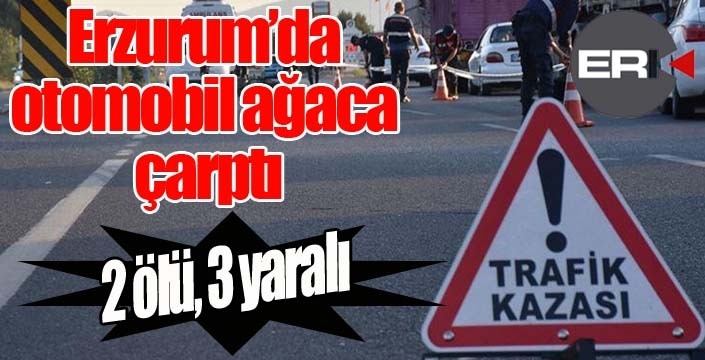 Erzurum'da feci kaza: 2 ölü, 3 yaralı...