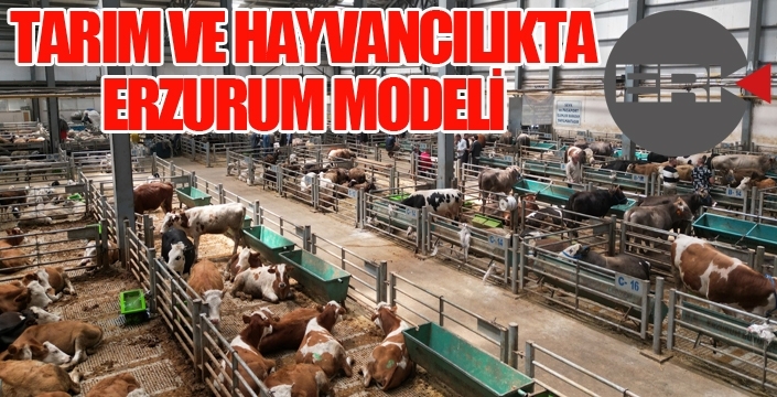 TARIM VE HAYVANCILIKTA ERZURUM MODELİ