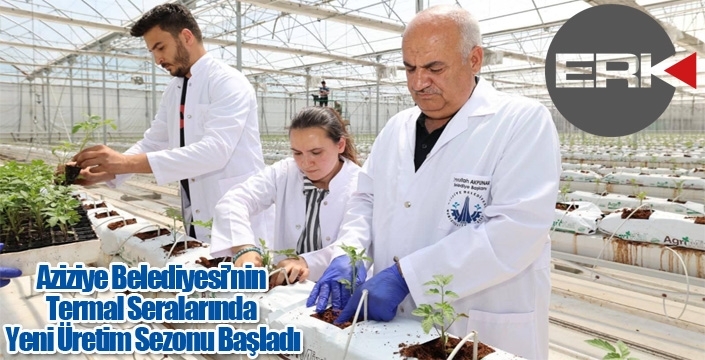 Aziziye Belediyesi’nin Termal Seralarında Yeni Üretim Sezonu Başladı