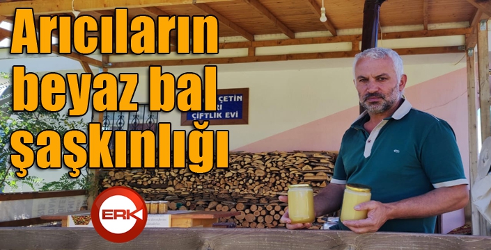 Arıcıların beyaz bal şaşkınlığı