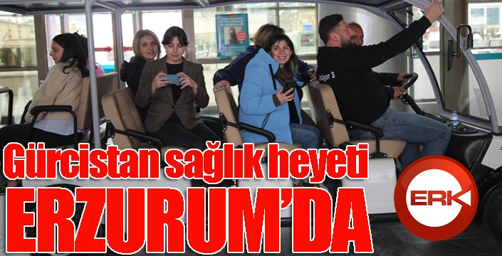 Gürcistan sağlık heyeti sağlık turizmi kapsamında incelemelerde bulundu