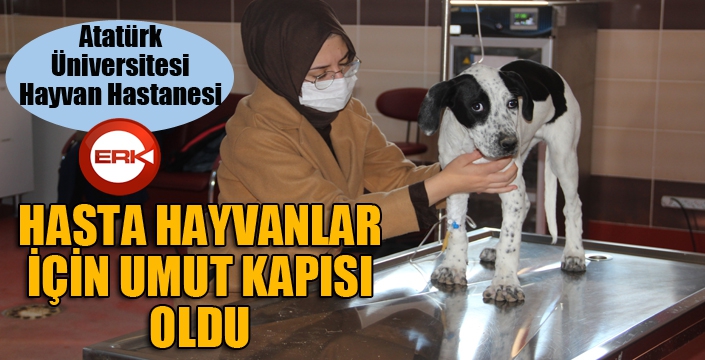 Hasta hayvanlar için umut kapısı oldu...