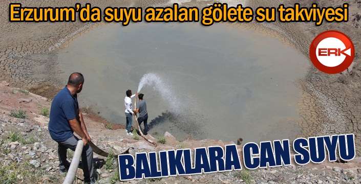 Kuraklık hat safhaya ulaştı, 10 bin balık için köy halkı seferber oldu