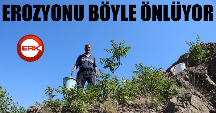 Taş üstünde fidan yetiştirip erozyonu önlüyor