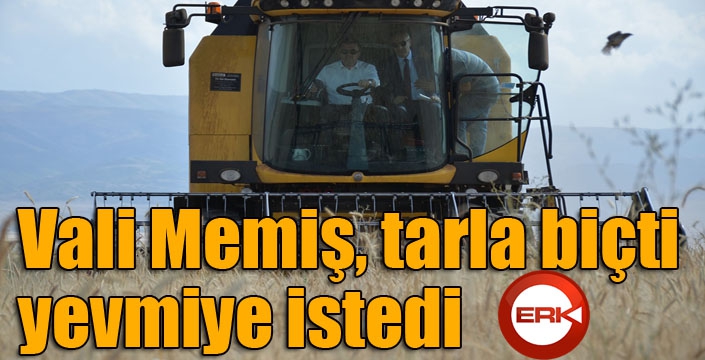Vali Memiş, tarla biçti, yevmiye istedi